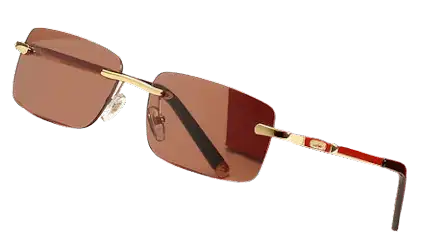 Cartier Sunglasses (7 Variants)