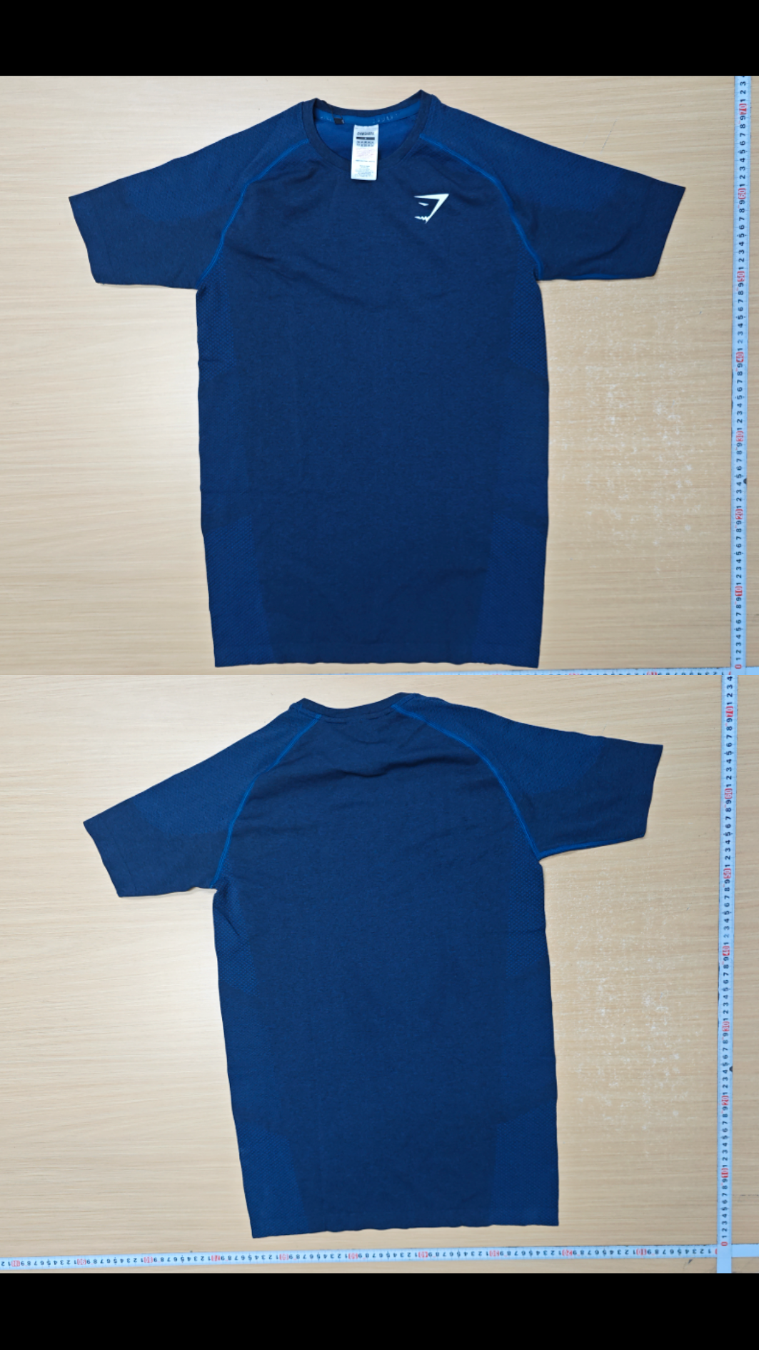 Gym shark tee