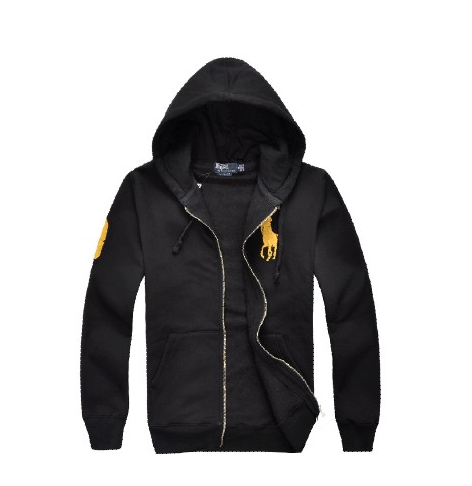 Ralph lauren zip hoodie